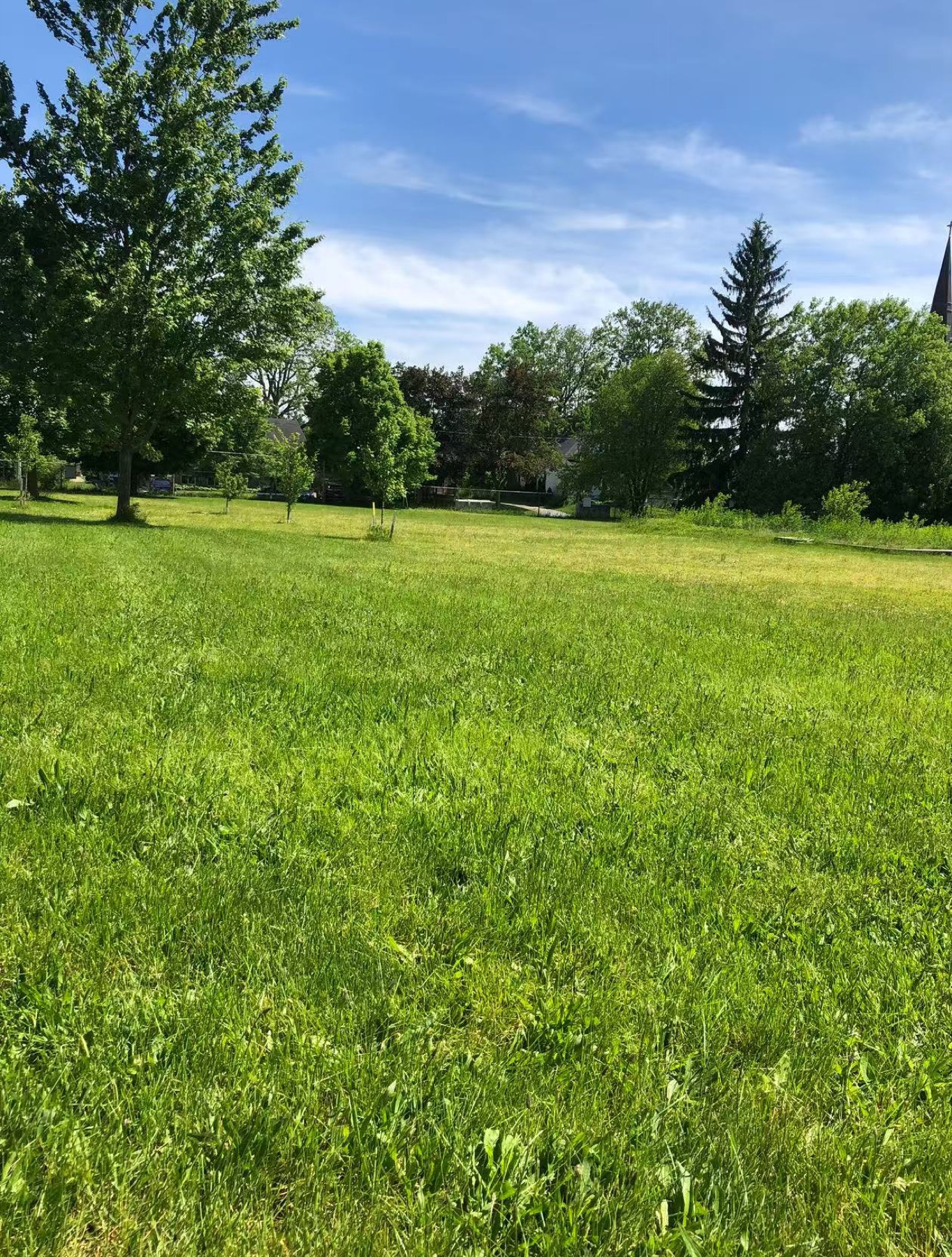 Ingersoll Schoolhouse Conversion 4